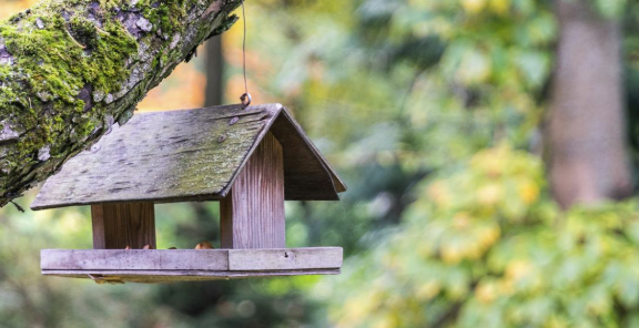Whimsy Meets Wildlife: How Decorative Birdhouses Add Charm to Your Outdoor Space